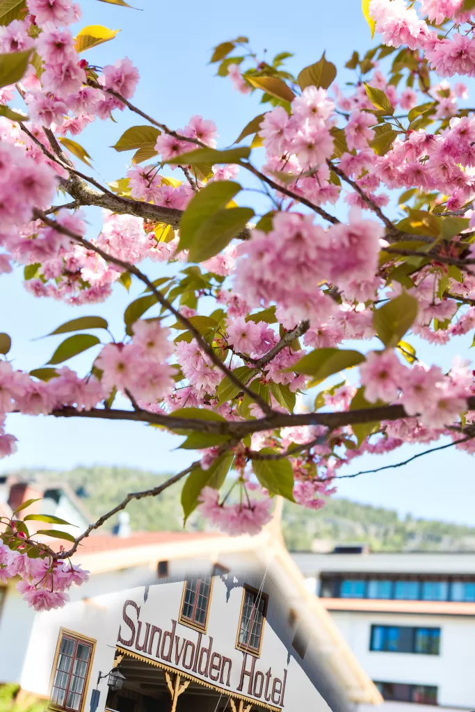 Spring season at Sundvolden Hotel