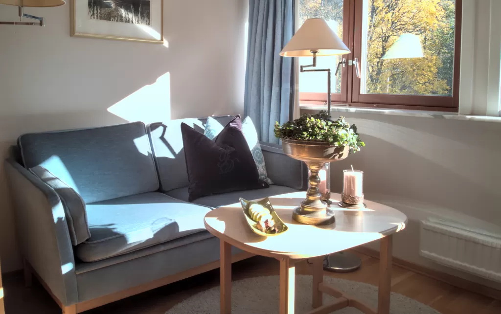 Classic style room with a cozy couch