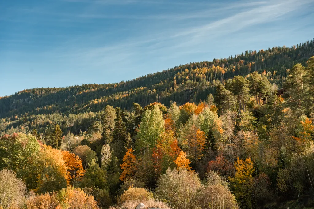 Konferanse på Sundvolden Hotel