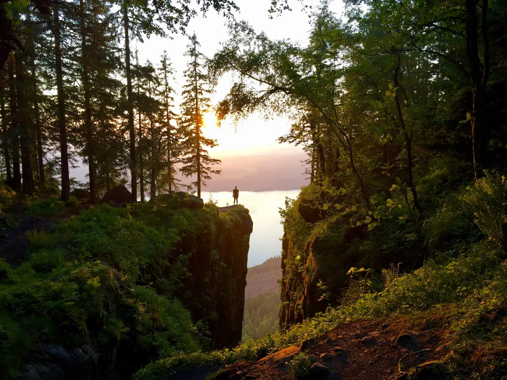 Mørkgonga
